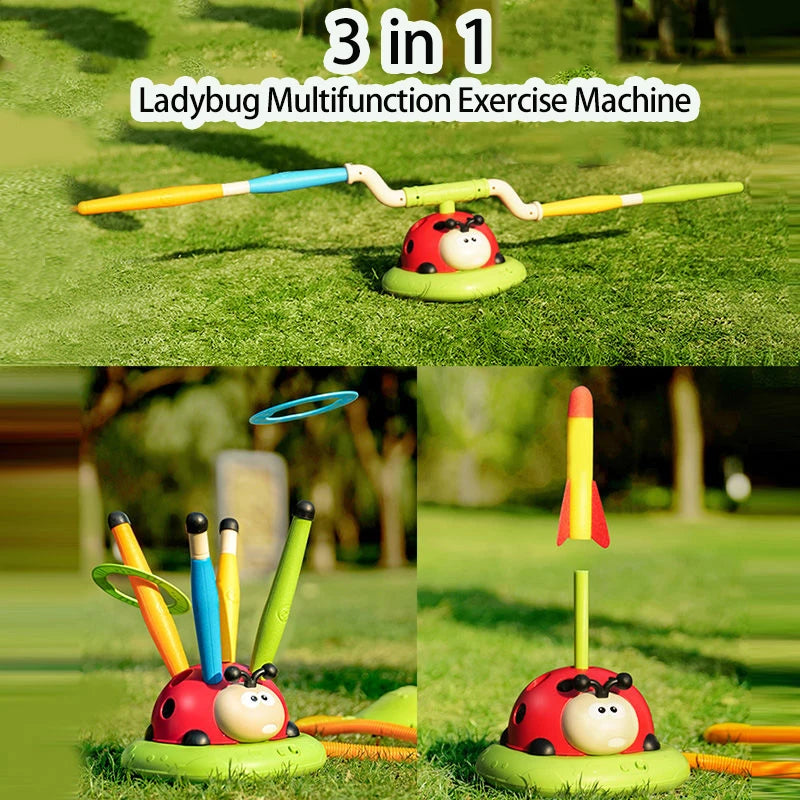 Ladybug Multi-Sport Toy 5 in 1!