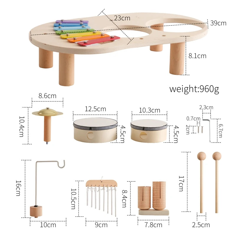 Musical Education Toy