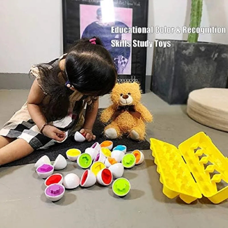 Montessori Matching Eggs