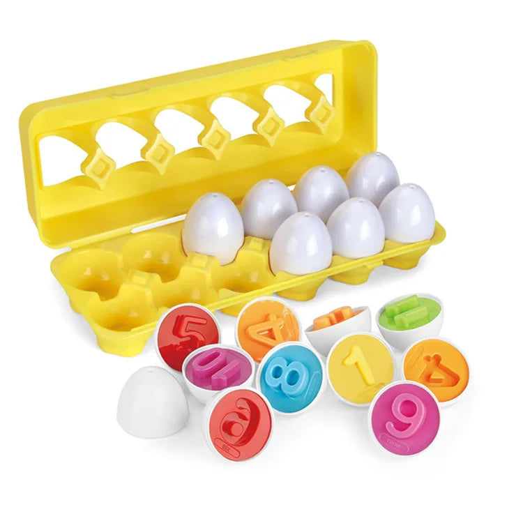 Montessori Matching Eggs