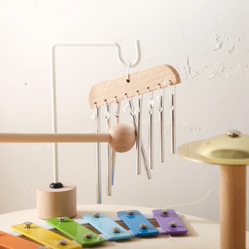 Musical Education Toy