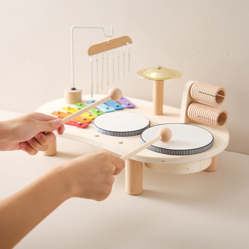 Musical Education Toy